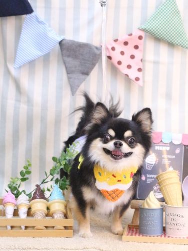 20250513ボスくん